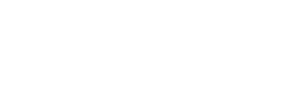 Local Media Consortium